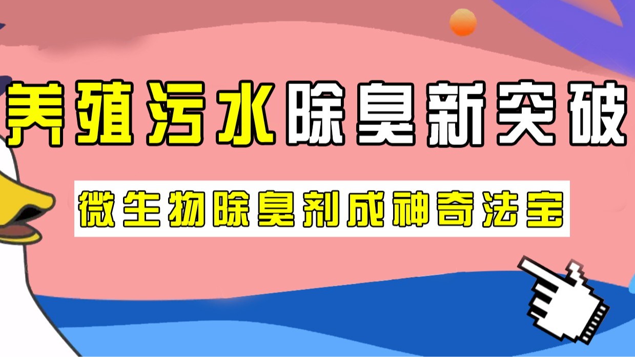 養(yǎng)殖污水除臭新突破，微生物除臭劑成神奇法寶